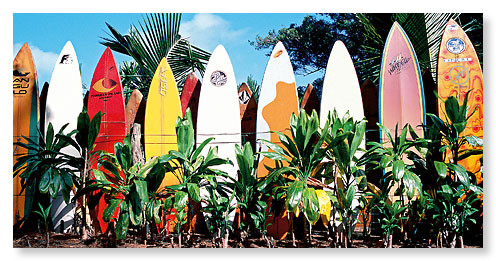 Old Surfboards Never Die by Bernard Lassalle - Hawaiian Panoramic Magnet