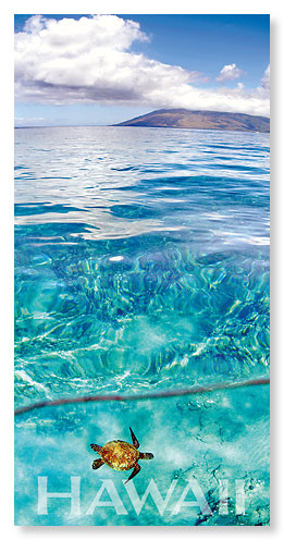 Emerald Sea by Monica & Michael Sweet - Hawaiian Panoramic Magnet