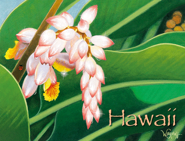 Pearly Shells - Hawaiian 'Alohi Glitter Magnet Pearly Shells - Hawaiian 'Alohi Glitter Magnet