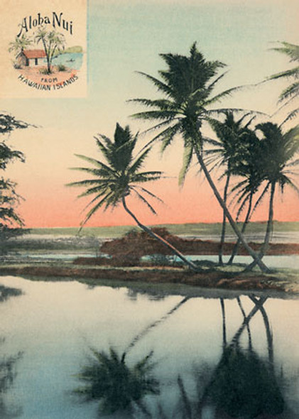Aloha Nui - Coconut Lagoon - Magnet Aloha Nui - Coconut Lagoon - Magnet