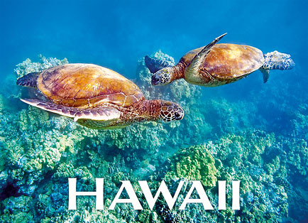 Honeymooners by Monica & Michael Sweet - Hawaiian Magnet