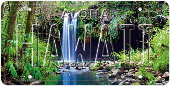 Twin Falls - Hawaiian License Plate Twin Falls - Hawaiian License Plate