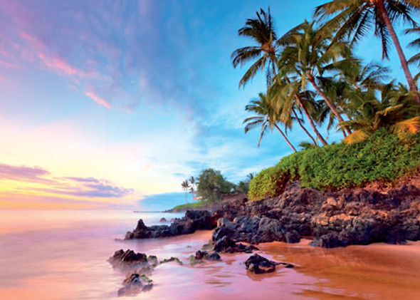 Tropical Shores - Everyday Blank Greeting Card Tropical Shores - Everyday Blank Greeting Card