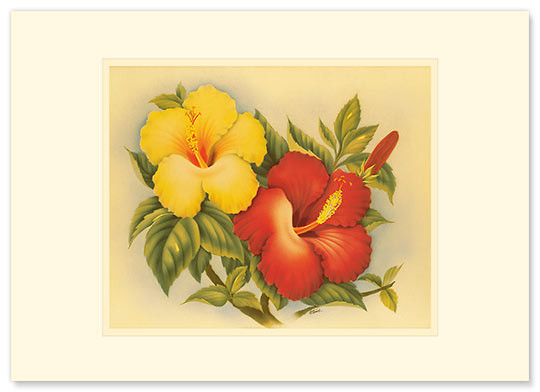 Hawaiian Hibiscus by Eve Hawaii - Premium Vintage Collectible Greeting Card