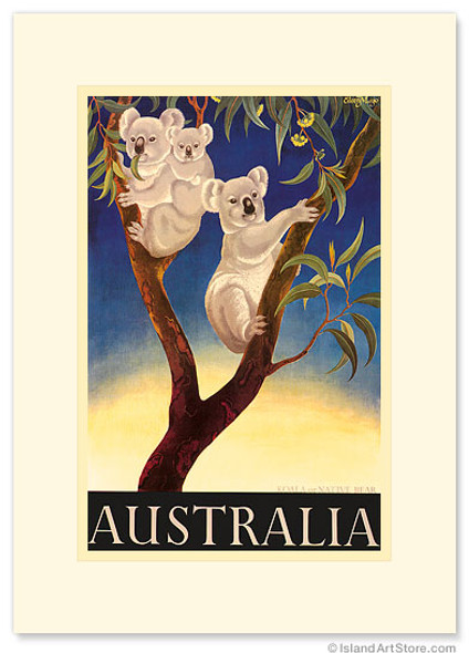 Australia Koala - Premium Vintage Collectible Greeting Card Australia Koala - Premium Vintage Collectible Greeting Card