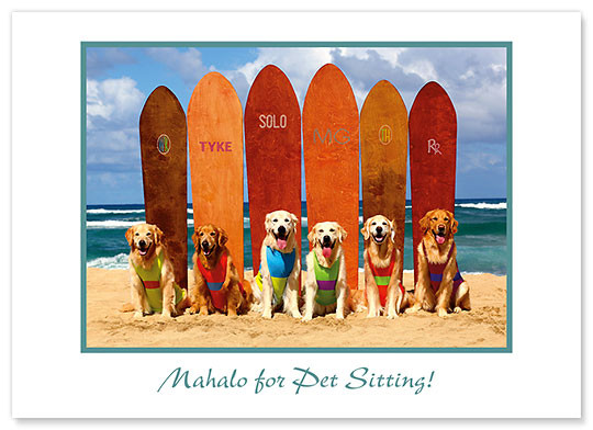 Waikiki Beach Dogs by Deb McGuire - Pet Sitting Greeting Card