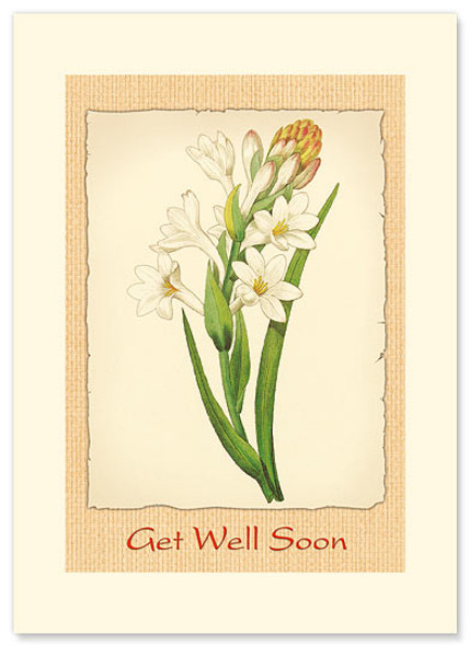 Tuberose - Premium Vintage Collectible - Get Well Card Tuberose - Premium Vintage Collectible - Get Well Card