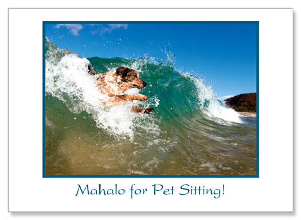 Surf's Up! - Pet Sitting Greeting Card Surf's Up! - Pet Sitting Greeting Card