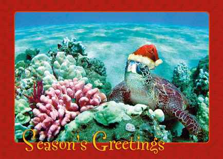 Holiday Honu by Monica & Michael Sweet - Holiday Greeting Card