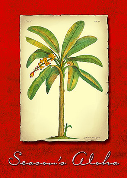 Banana Plant - Holiday Greeting Card