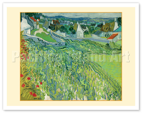 Vineyards at Auvers France - c. 1890