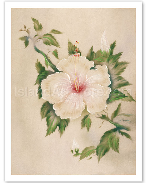 Hawaiian White Hibiscus (Pua Aloalo) - Poster by Tip Freeman