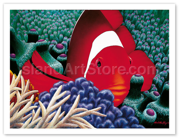 Diva, Tomato Clown Fish - Poster by Mark Mackay