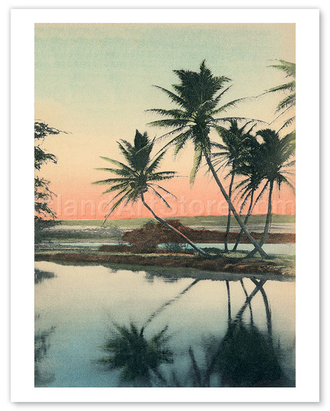 Coconut Lagoon - Vintage Hand-colored Photo Postcard