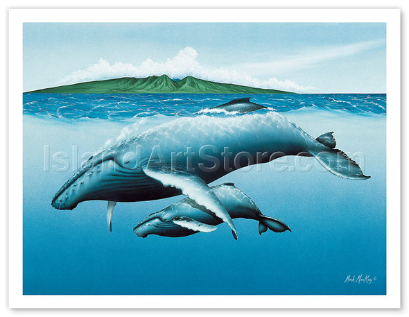 Mother and Child, Hawaiian Humpback Whales - Poster by Mark Mackay