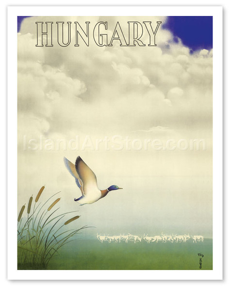 Hungary - Hortobágy National Park - Hungarian Duck - Poster by György Konecsni