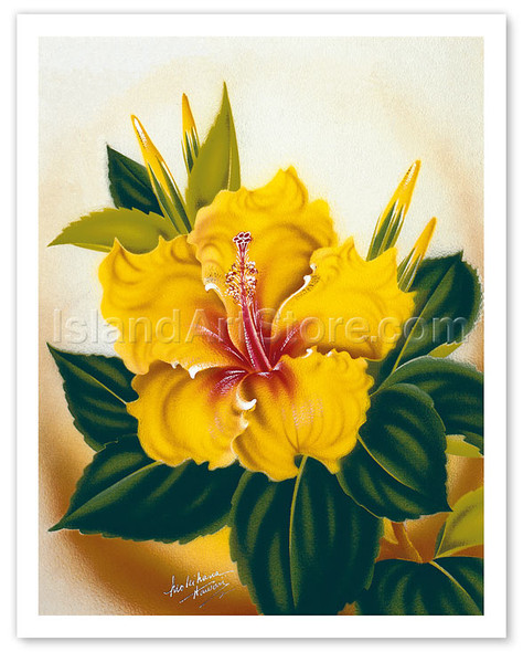 Hawaiian Yellow Hibiscus - Poster by Ted Mundorff