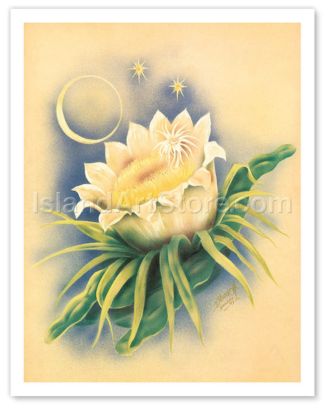 Hawaii Night Blooming Cereus - Poster by Ted Mundorff
