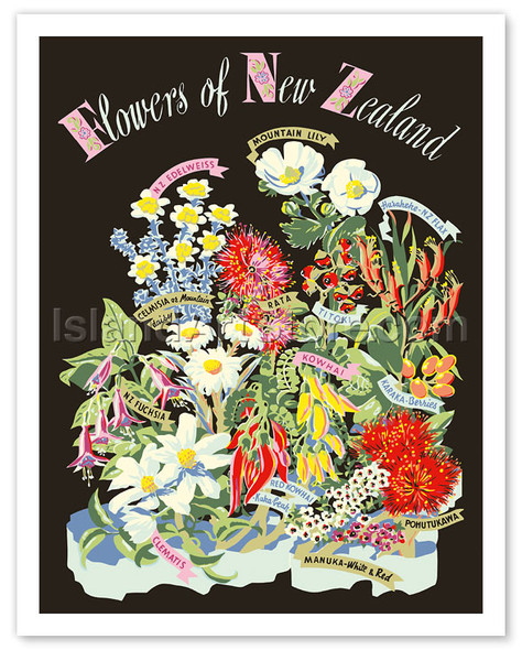 Flowers of New Zealand - Poster by Howard Mallitte