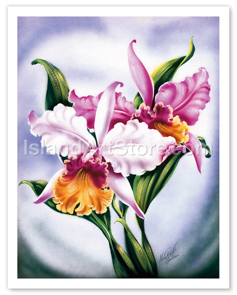 Hawaiian Pink Orchid - Poster by Ted Mundorff