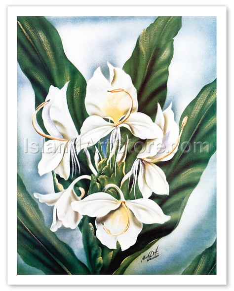 Hawaiian White Ginger - Poster by Ted Mundorff
