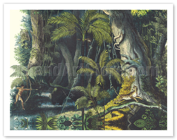 Amazon Rain Forest, Brazil - Palm Trees - Hunting Cheetah - Poster by Carl Friedrich Philipp von Martius