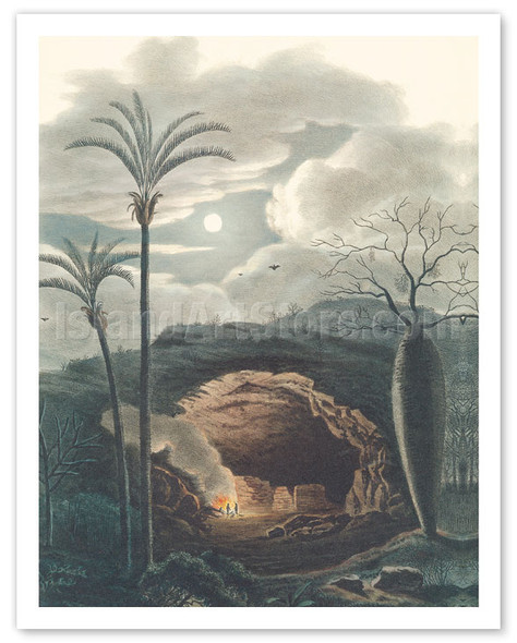 Jelly Palm Tree (Butia Capitata) - Formiga, Brazil - Poster by Carl Friedrich Philipp von Martius