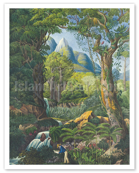 Brazil Forest - Zoologist Johann Baptist von Spix - c. 1800's - Poster by Carl Friedrich Philipp von Martius