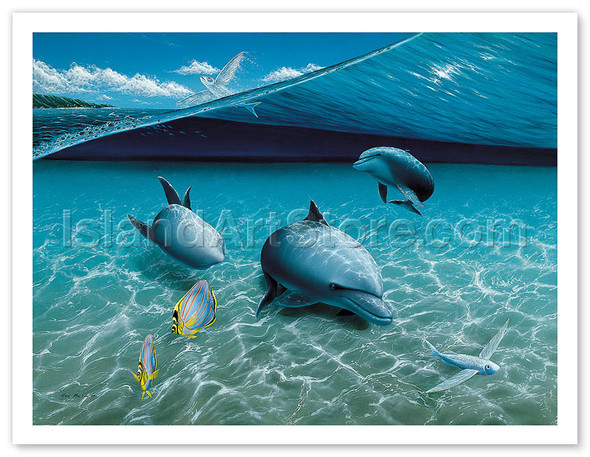 The Chase, Hawaiian Bottlenose Dolphins - Poster by Mark MacKay