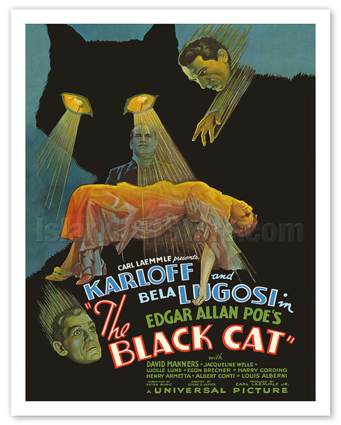 Edgar Allan Poe's The Black Cat - Starring Boris Karloff, Bela Lugosi - c. 1934 - Vintage Movie Poster