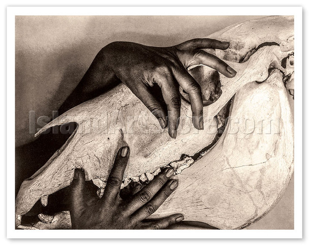Georgia O’Keeffe - Hands and Horse Skull - c. 1931 - Poster by Alfred Stieglitz