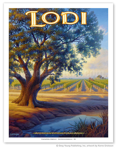 Lodi Wineries - Valley Oak (Quercus lobata) - Poster by Kerne Erickson