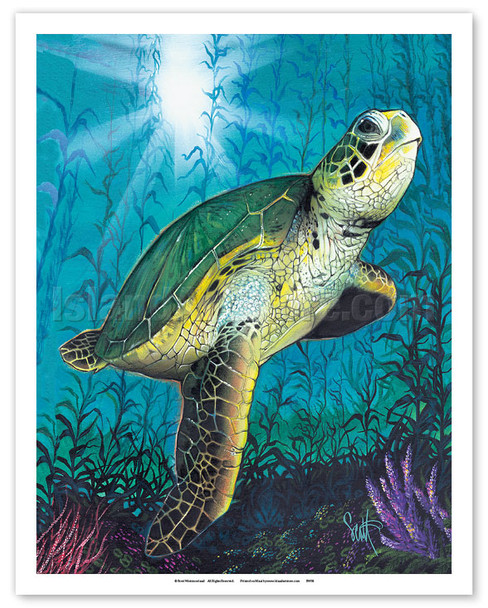 Hawaiian Green Sea Turtle