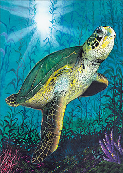 Turtle - Hawaiian Everyday Blank Greeting Card Turtle - Hawaiian Everyday Blank Greeting Card