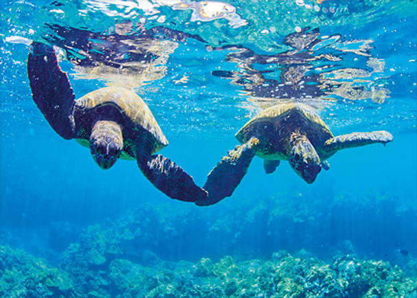 Hands - Wedding Greeting Card Hands - Wedding Greeting Card