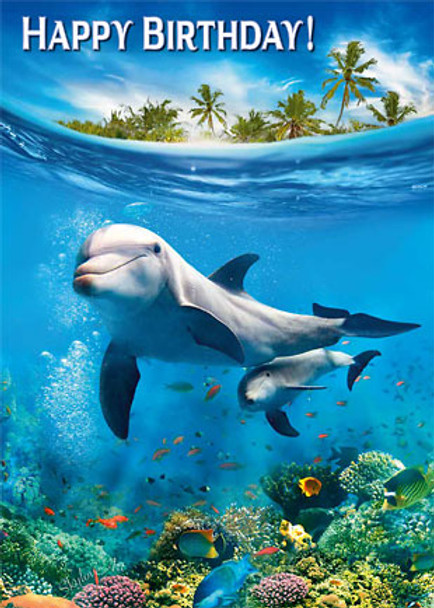 Dolphins - Happy Birthday Greeting Card Dolphins - Happy Birthday Greeting Card