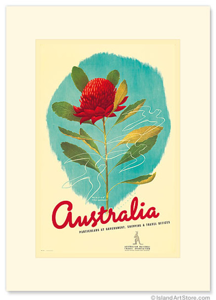 Australia Shipping & Travel - Waratah Red Flower - Premium Vintage Collectible Greeting Card Australia Shipping & Travel - Waratah Red Flower - Premium Vintage Collectible Greeting Card