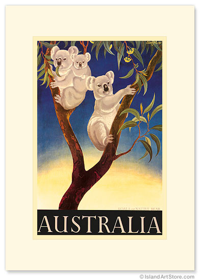 Australia Koala by Eileen Mayo - Premium Vintage Collectible Greeting Card
