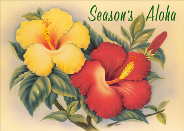 Hawaiian Hibiscus - Holiday Greeting Card