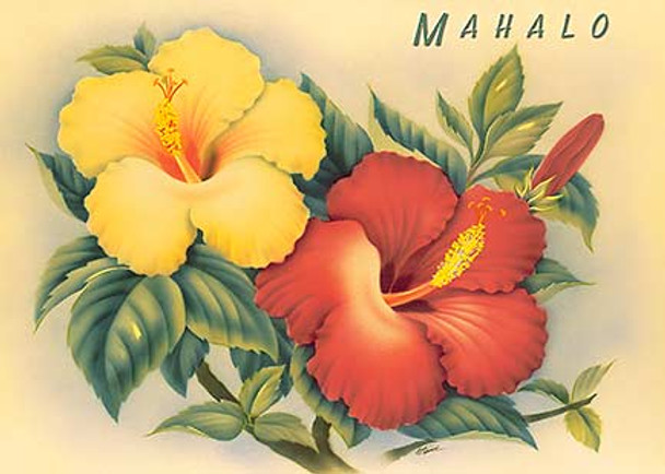 Hawaiian Hibiscus - Mahalo / Thank You Greeting Card Hawaiian Hibiscus - Mahalo / Thank You Greeting Card