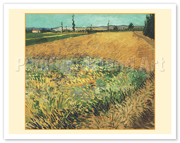 Wheatfield - Arles, France - c. 1888