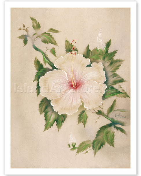 Hawaiian White Hibiscus (Pua Aloalo) - Poster by Tip Freeman