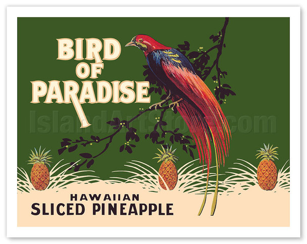 Hawaiian Sliced Pineapple - Bird of Paradise Brand - c. 1920's - Vintage Advertisement Poster