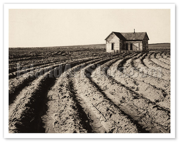 Tractored Out - Childress County, Texas - c. 1938 - Poster by Dorothea Lange