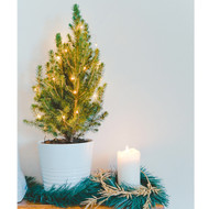 Homely Christmas Harmony