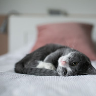 Hygge happiness