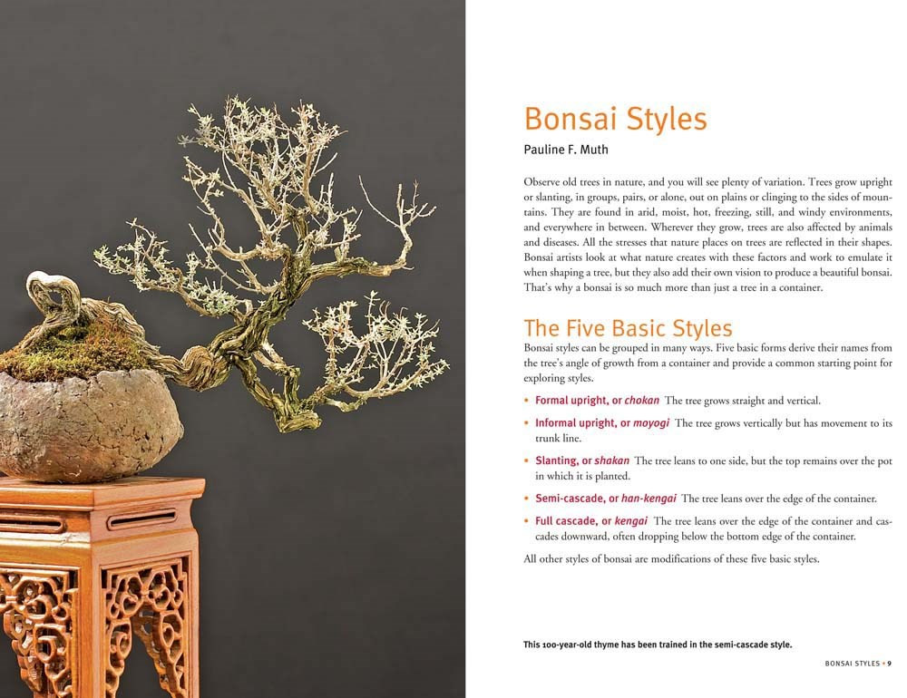 a book provide details of a bonsai tree