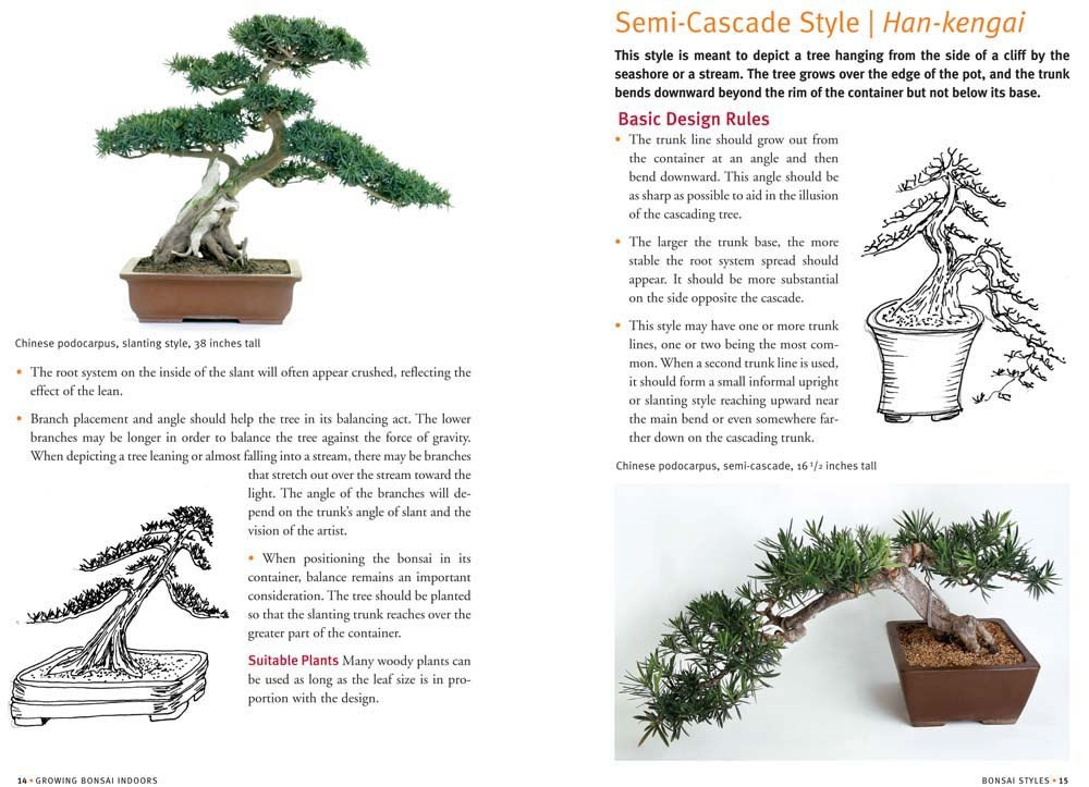 a book provide details of a bonsai tree