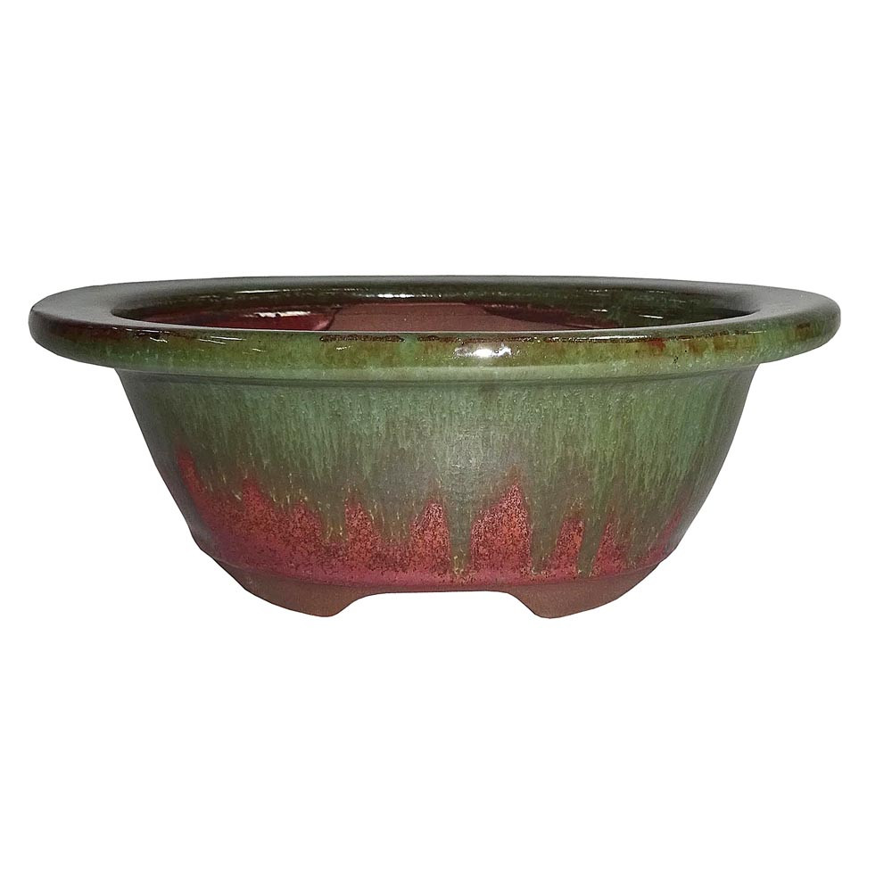 a green and red bowl