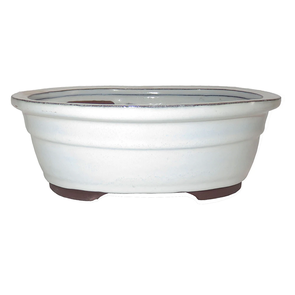 a white bowl with a blue rim